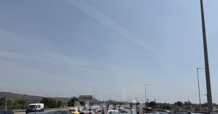 diodia isthmos1 1200x630.jpg