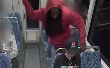 dolofonia 1200x630.jpg