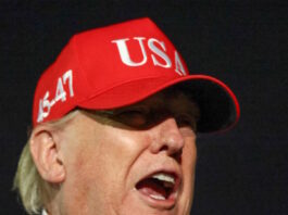 donald trump 16042026 1200x630.jpg