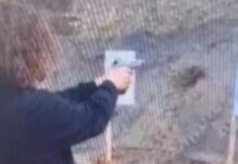 drastis 2 1200x630.jpg