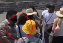 drastis 4 1200x630.jpg