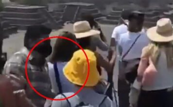 drastis 4 1200x630.jpg