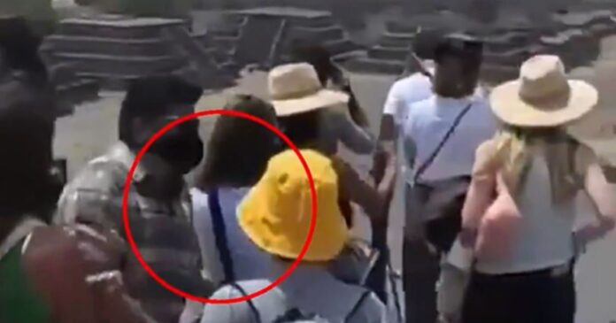 drastis 4 1200x630.jpg