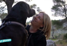 e697fe8d78a34c2eb2c2b719a0989771 XL.jpg