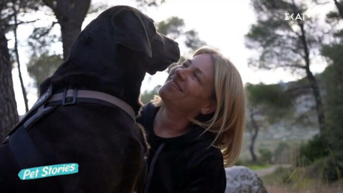 e697fe8d78a34c2eb2c2b719a0989771 XL.jpg