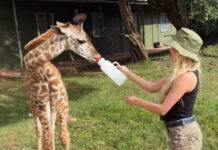 e7a592b4b6c48f7568e58ede0cc78f03 XL.jpg