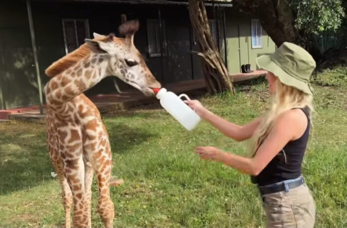 e7a592b4b6c48f7568e58ede0cc78f03 XL.jpg