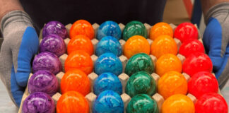 easter eggs 1200x630.jpg