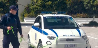 elas astunomia 1200x630.jpg