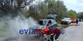 euvoia 2 1200x630.jpg