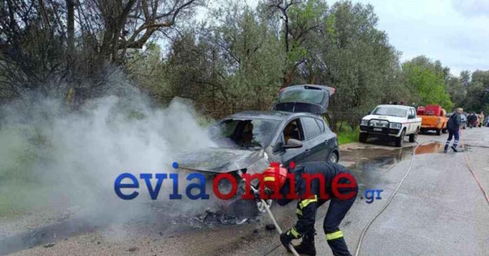 euvoia 2 1200x630.jpg