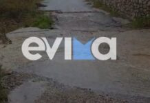 evoia erminio evima gr 1200x630.jpg