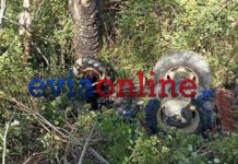 evoia trakter 27042026 1200x630.jpg