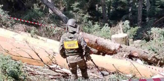 evritania1 1200x630.jpg