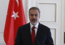 fidan tourkia 1200x630.jpg