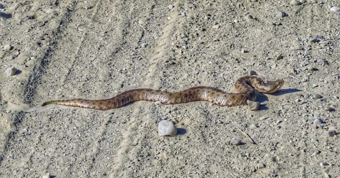 fidi 1 1200x630.jpg fidi 1 1200x630.jpg