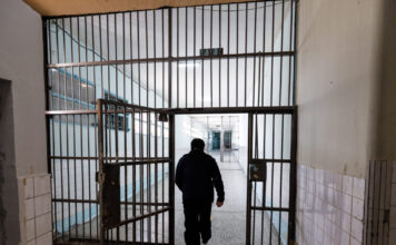 filakes 1200x630.jpg