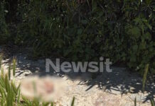 filopapou 1200x630.jpg