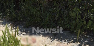 filopapou 1200x630.jpg