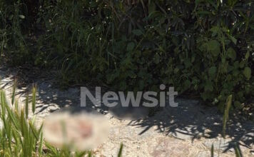 filopapou 1200x630.jpg