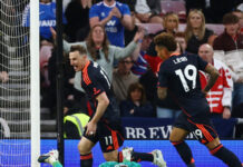 forest 2 1200x630.jpg