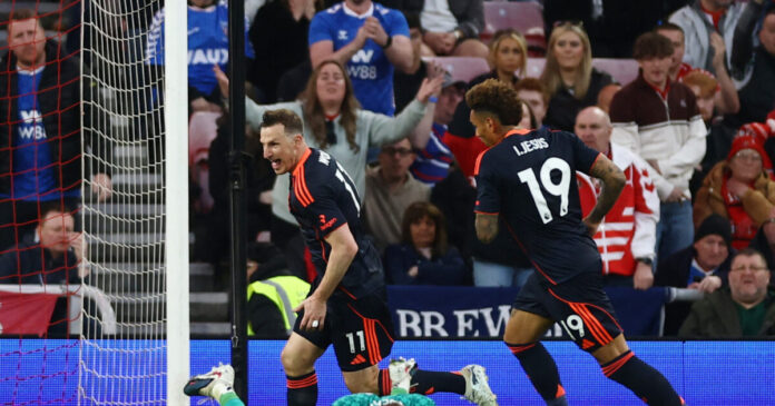 forest 2 1200x630.jpg