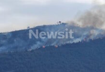 fotia axaia2 18042026 1200x630.jpg