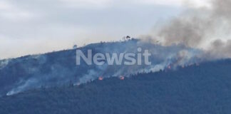 fotia axaia2 18042026 1200x630.jpg