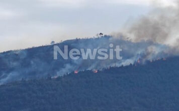 fotia axaia2 18042026 1200x630.jpg