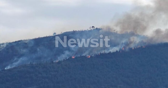 fotia axaia2 18042026 1200x630.jpg