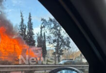 fotia kifisos 1200x630.jpg