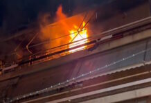 fotia kolonos1 1200x630.jpg