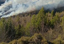 fotia lakonia 08042026 1200x630.jpg