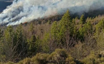 fotia lakonia 08042026 1200x630.jpg