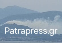 Αχαΐα: Σύλληψη ενός άνδρα για τη φωτιά στα Σελινιάτικα fotia selianitika 1200x630.jpg