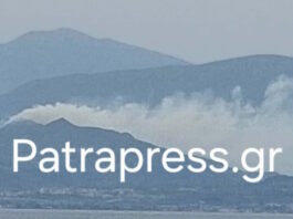 Αχαΐα: Σύλληψη ενός άνδρα για τη φωτιά στα Σελινιάτικα fotia selianitika 1200x630.jpg