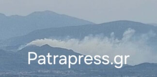 fotia selianitika 1200x630.jpg