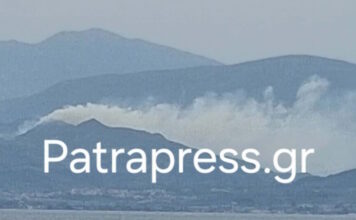 fotia selianitika 1200x630.jpg