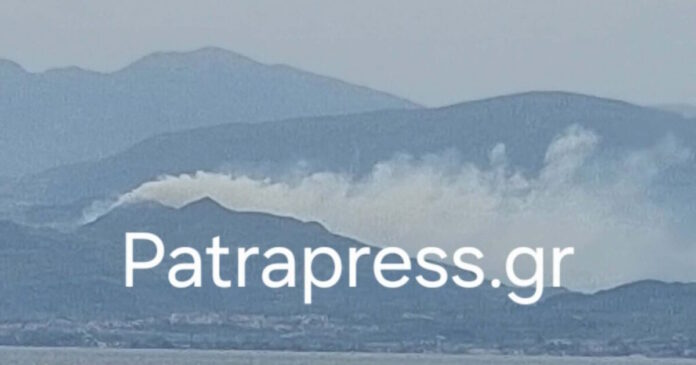 fotia selianitika 1200x630.jpg fotia selianitika 1200x630.jpg