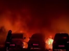 fwtia irakleio 1200x630.jpg