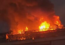 fwtia nea smirni 1200x630.jpg