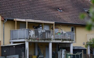 gallia anilikos van ap 1200x630.jpg