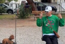 gavalas arxiki 1200x630.jpg