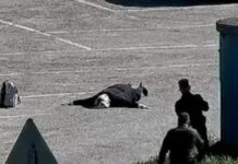 germanida russia reuters 1 1200x630.jpg