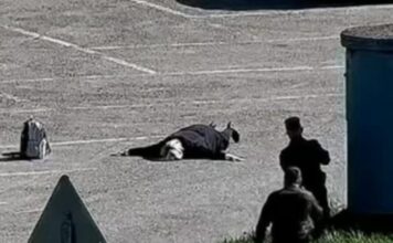 germanida russia reuters 1 1200x630.jpg