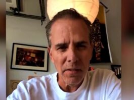 hunter biden 1 1200x630.jpg