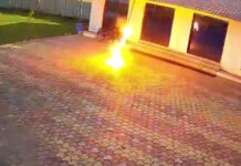 india ilektroplixia 17042026 1200x630.jpg