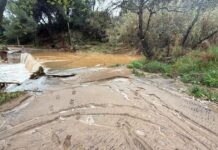 iremou pefkou 2 1200x630.jpeg