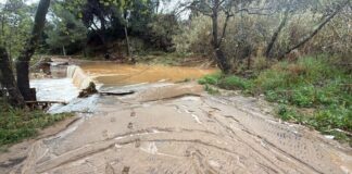 iremou pefkou 2 1200x630.jpeg