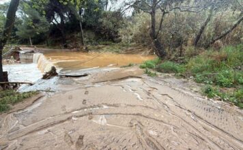 iremou pefkou 2 1200x630.jpeg